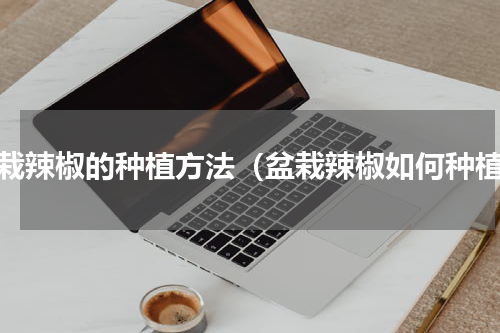 盆栽辣椒的种植方法（盆栽辣椒如何种植）
