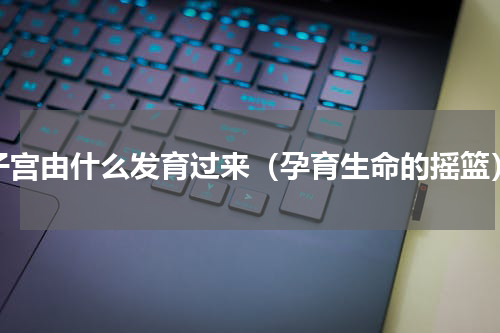 子宫由什么发育过来（孕育生命的摇篮）