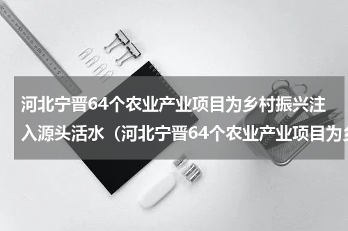 河北宁晋64个农业产业项目为乡村振兴注入源头活水（河北宁晋64个农业产业项目为乡村振兴注入源头活水）