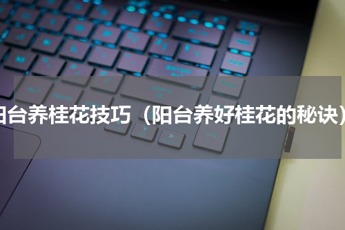阳台养桂花技巧（阳台养好桂花的秘诀）