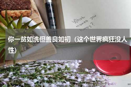 你一贫如洗但善良如初（这个世界疯狂没人性）