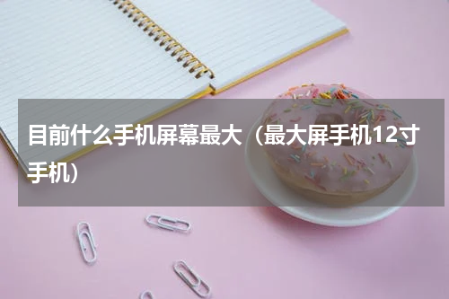 目前什么手机屏幕最大（最大屏手机12寸手机）