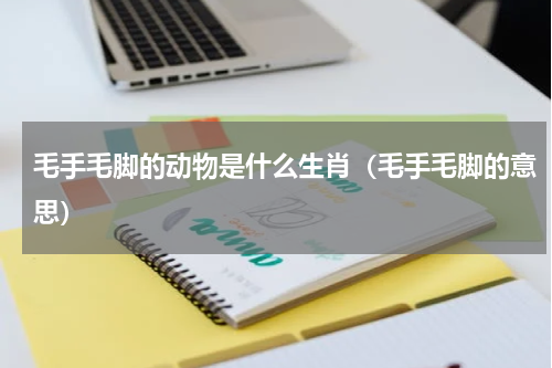 毛手毛脚的动物是什么生肖（毛手毛脚的意思）
