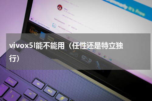 vivox5l能不能用（任性还是特立独行）