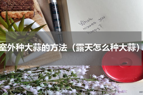 室外种大蒜的方法（露天怎么种大蒜）