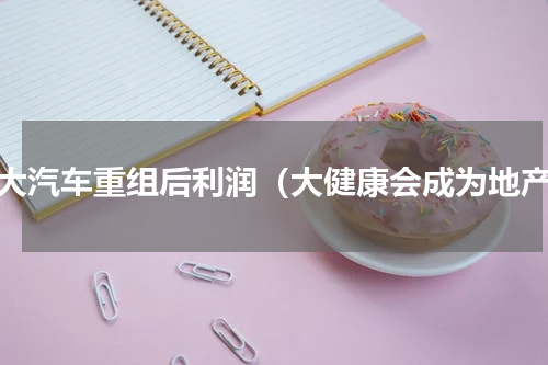 庞大汽车重组后利润（大健康会成为地产）
