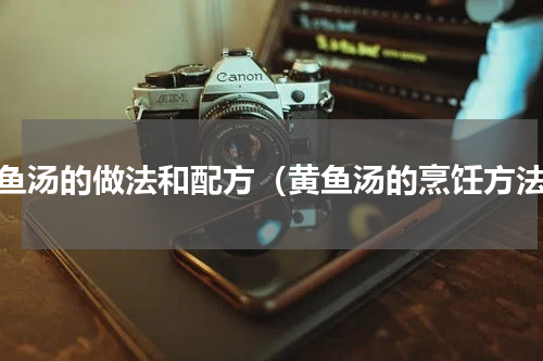 黄鱼汤的做法和配方（黄鱼汤的烹饪方法）