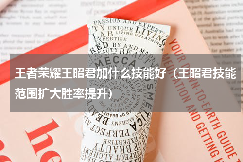 王者荣耀王昭君加什么技能好（王昭君技能范围扩大胜率提升）