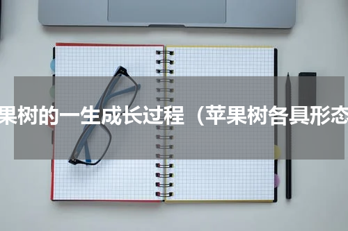 苹果树的一生成长过程（苹果树各具形态）