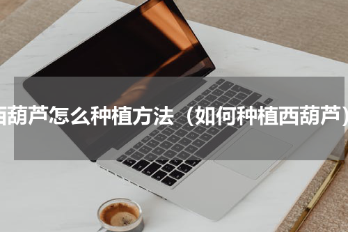 西葫芦怎么种植方法（如何种植西葫芦）