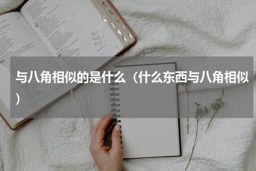 与八角相似的是什么（什么东西与八角相似）