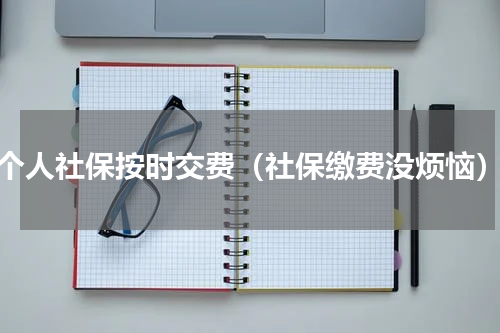 个人社保按时交费（社保缴费没烦恼）