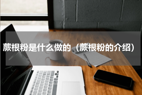 蕨根粉是什么做的（蕨根粉的介绍）