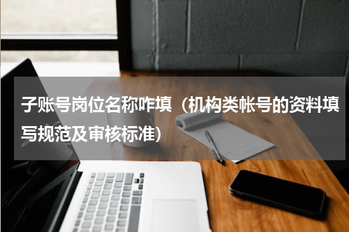 子账号岗位名称咋填（机构类帐号的资料填写规范及审核标准）