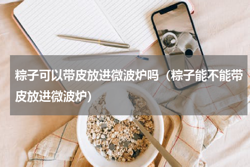 粽子可以带皮放进微波炉吗（粽子能不能带皮放进微波炉）