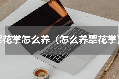 翠花掌怎么养（怎么养翠花掌）