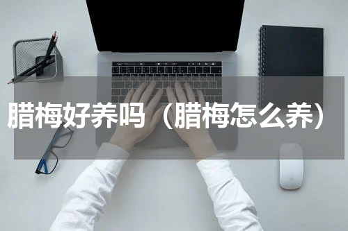 腊梅好养吗（腊梅怎么养）