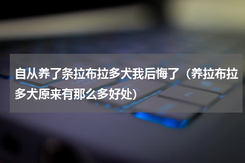 自从养了条拉布拉多犬我后悔了（养拉布拉多犬原来有那么多好处）