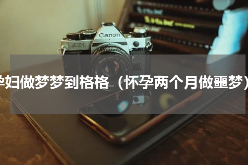 孕妇做梦梦到格格（怀孕两个月做噩梦）