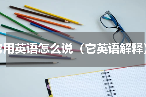 它用英语怎么说（它英语解释）