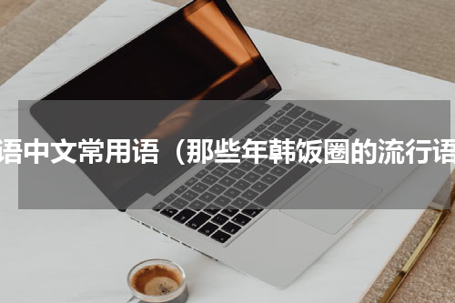 韩语中文常用语（那些年韩饭圈的流行语）