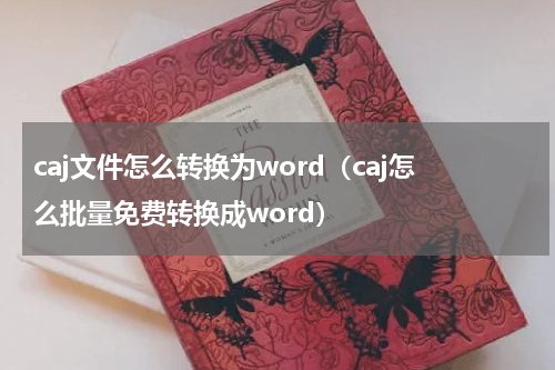 caj文件怎么转换为word（caj怎么批量免费转换成word）