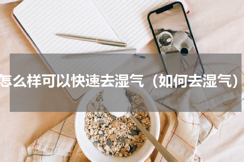 怎么样可以快速去湿气（如何去湿气）