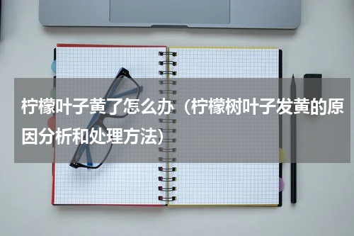 柠檬叶子黄了怎么办（柠檬树叶子发黄的原因分析和处理方法）