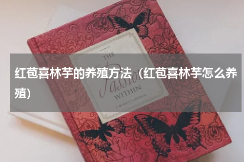 红苞喜林芋的养殖方法（红苞喜林芋怎么养殖）