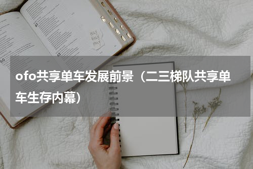 ofo共享单车发展前景（二三梯队共享单车生存内幕）