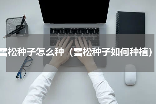 雪松种子怎么种（雪松种子如何种植）