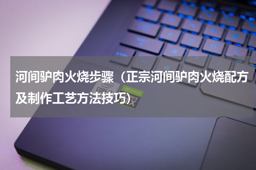 河间驴肉火烧步骤（正宗河间驴肉火烧配方及制作工艺方法技巧）