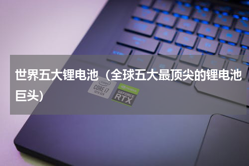 世界五大锂电池（全球五大最顶尖的锂电池巨头）