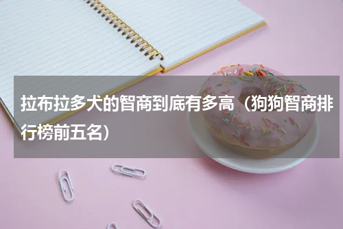 拉布拉多犬的智商到底有多高（狗狗智商排行榜前五名）
