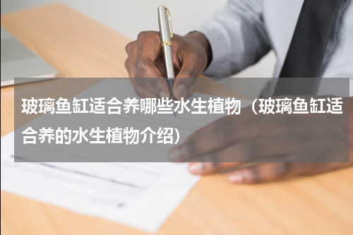 玻璃鱼缸适合养哪些水生植物（玻璃鱼缸适合养的水生植物介绍）