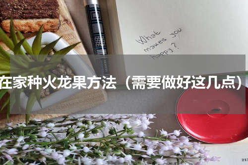 在家种火龙果方法（需要做好这几点）