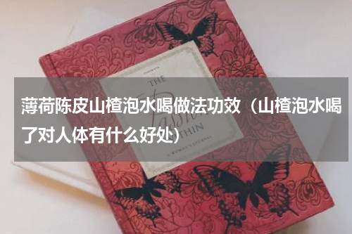 薄荷陈皮山楂泡水喝做法功效（山楂泡水喝了对人体有什么好处）