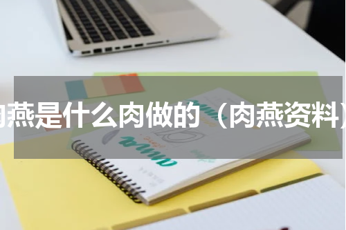肉燕是什么肉做的（肉燕资料）