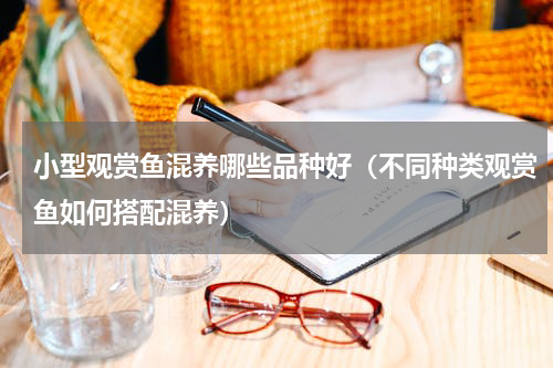 小型观赏鱼混养哪些品种好（不同种类观赏鱼如何搭配混养）