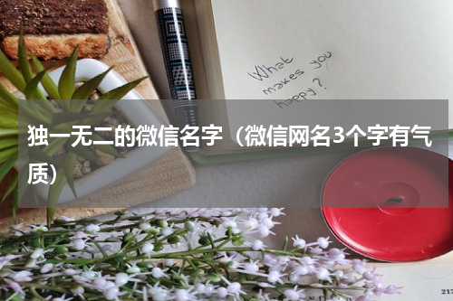 独一无二的微信名字（微信网名3个字有气质）