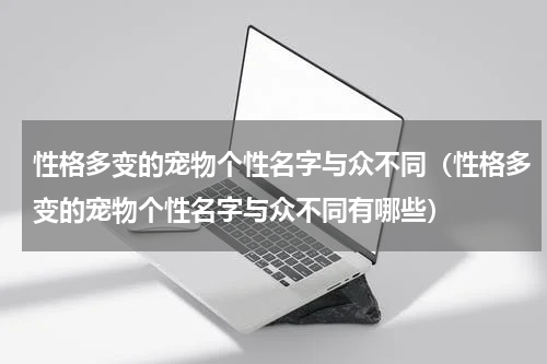 性格多变的宠物个性名字与众不同（性格多变的宠物个性名字与众不同有哪些）
