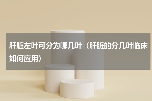 肝脏左叶可分为哪几叶（肝脏的分几叶临床如何应用）
