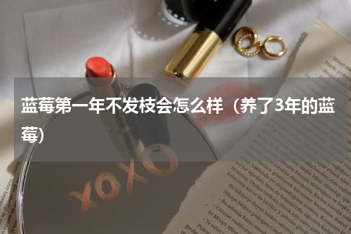 蓝莓第一年不发枝会怎么样（养了3年的蓝莓）
