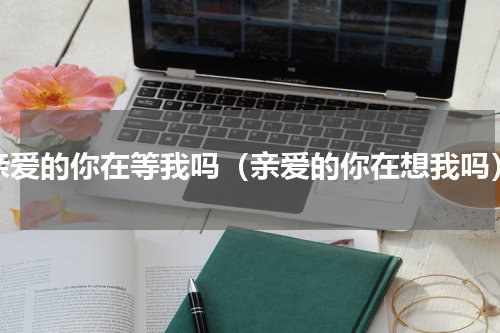 亲爱的你在等我吗（亲爱的你在想我吗）