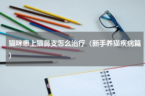 猫咪患上猫鼻支怎么治疗（新手养猫疾病篇）