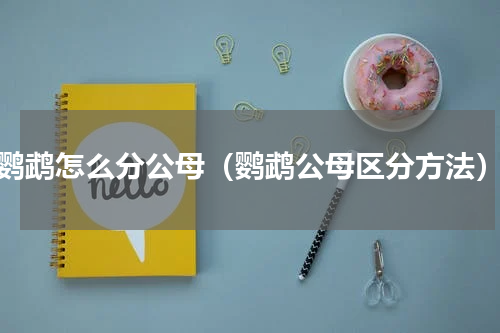 鹦鹉怎么分公母（鹦鹉公母区分方法）