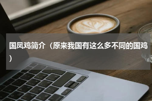国凤鸡简介（原来我国有这么多不同的国鸡）