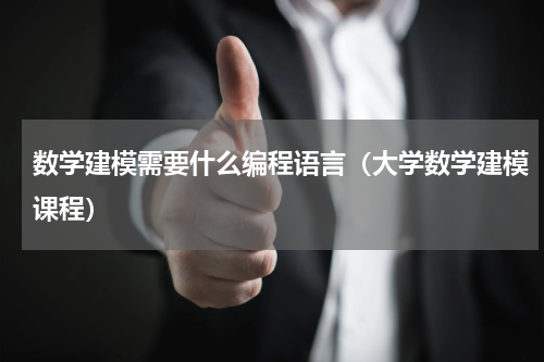 数学建模需要什么编程语言（大学数学建模课程）