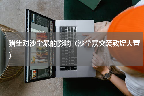 猎隼对沙尘暴的影响（沙尘暴突袭敦煌大营）