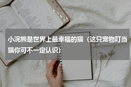 小浣熊是世界上最幸福的猫（这只宠物叮当猫你可不一定认识）
